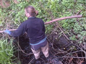 Manchester-20150512-00148