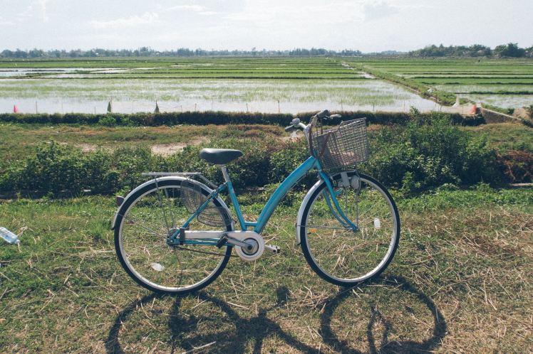 13585098_10154377127553856_3734724514402203212_o