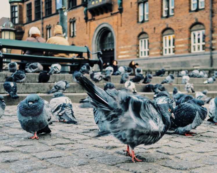 Processed with VSCO with g3 preset