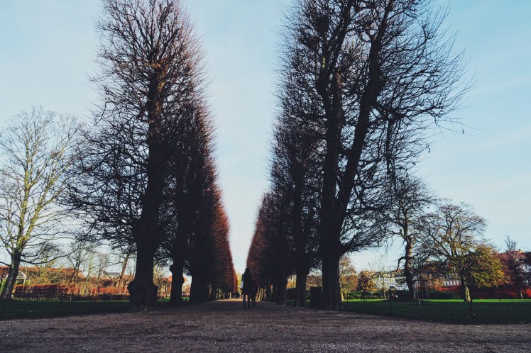 Processed with VSCO with f2 preset