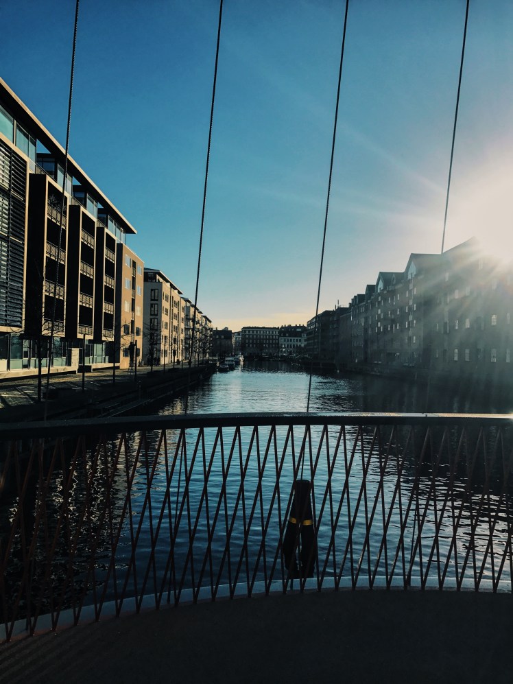 Processed with VSCO with g3 preset