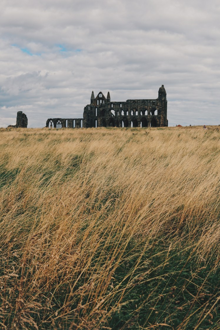 Processed with VSCO with hb2 preset