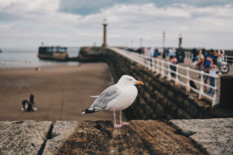 Processed with VSCO with hb2 preset