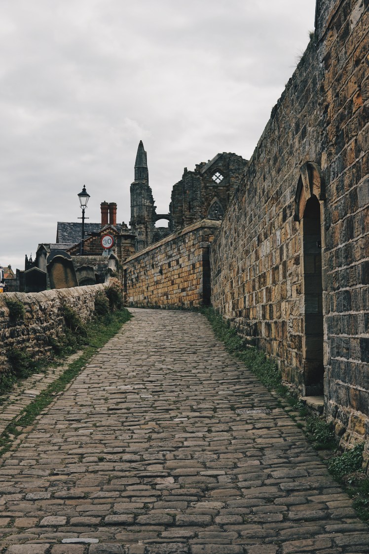 Processed with VSCO with hb2 preset