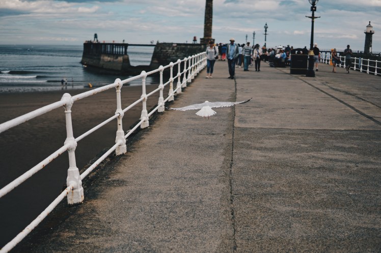 Processed with VSCO with hb2 preset