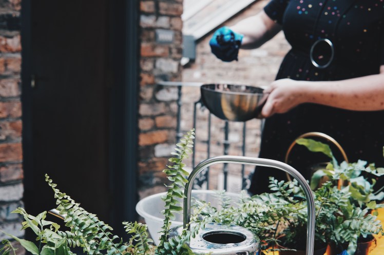 Processed with VSCO with hb2 preset