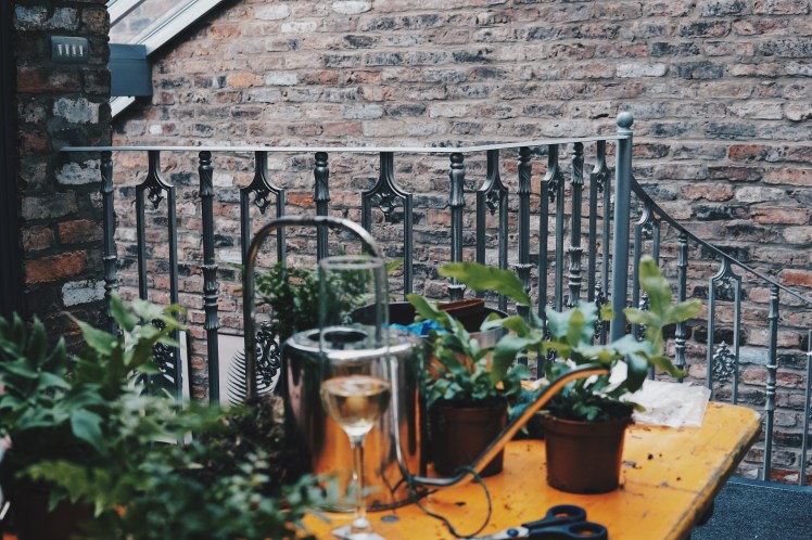 Processed with VSCO with hb2 preset