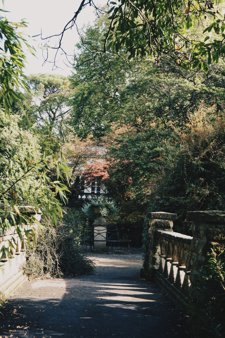 Processed with VSCO with hb2 preset