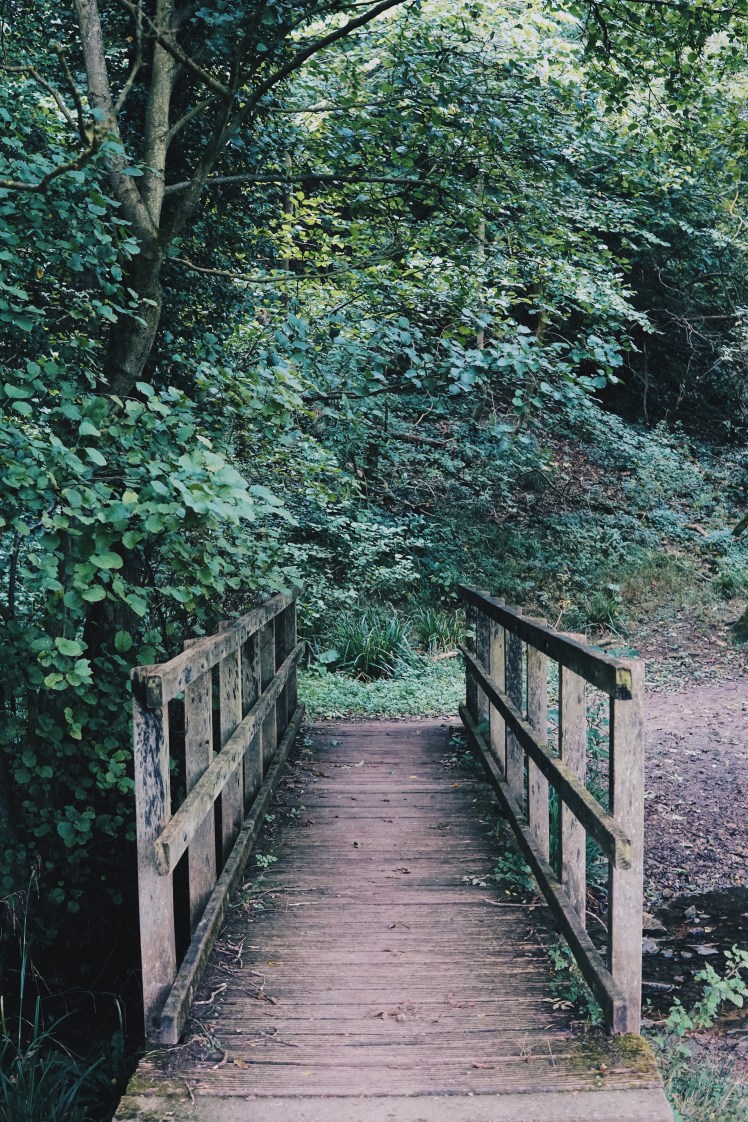 Processed with VSCO with hb2 preset