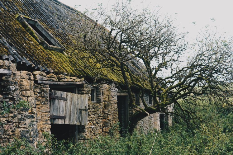 Processed with VSCO with hb2 preset