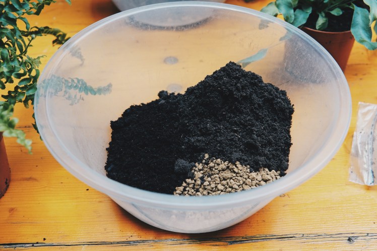 Processed with VSCO with hb2 preset