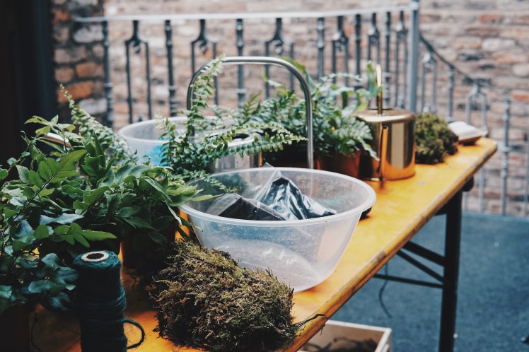 Processed with VSCO with hb2 preset