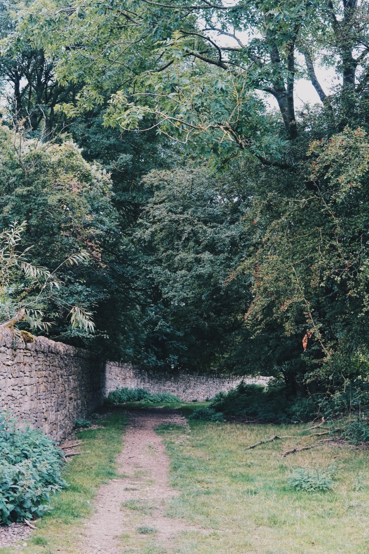 Processed with VSCO with hb2 preset