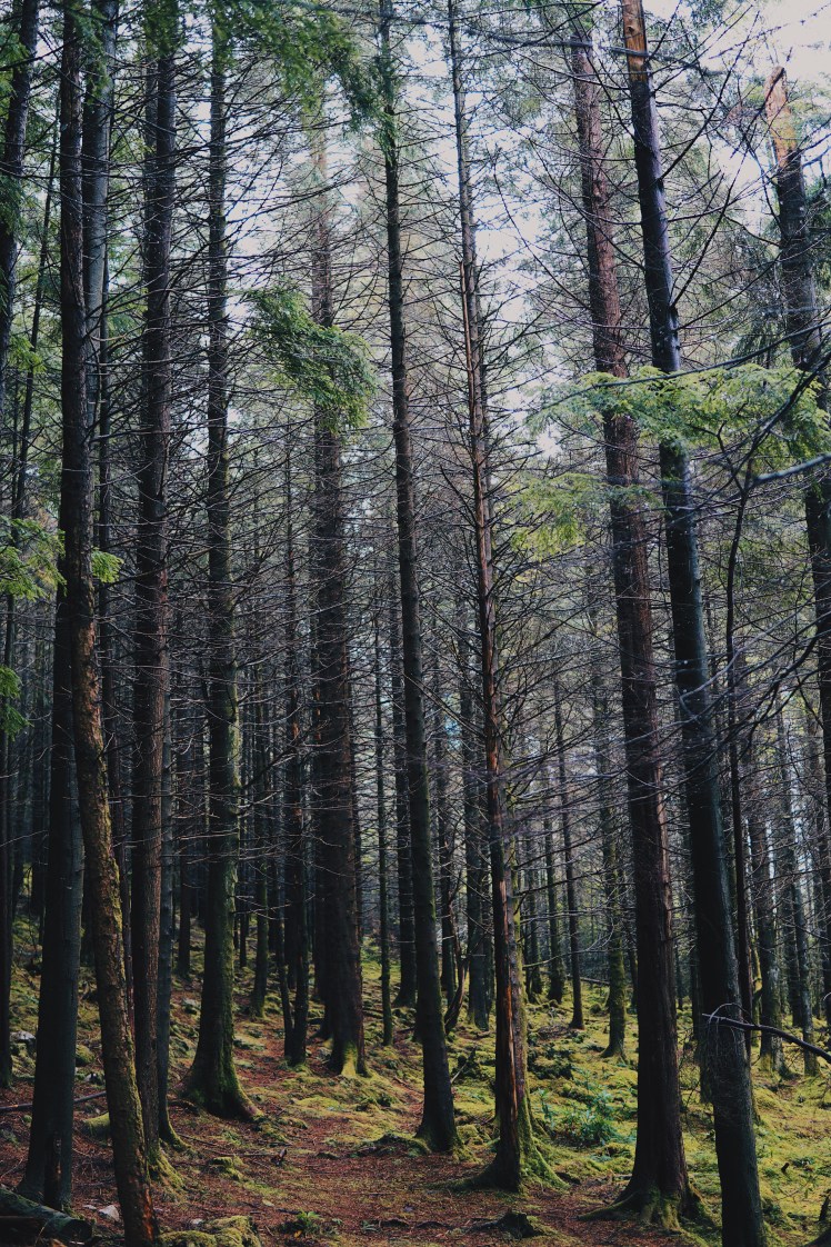 Processed with VSCO with hb2 preset