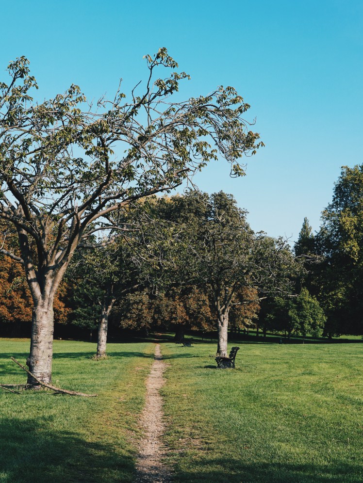 Processed with VSCO with hb2 preset