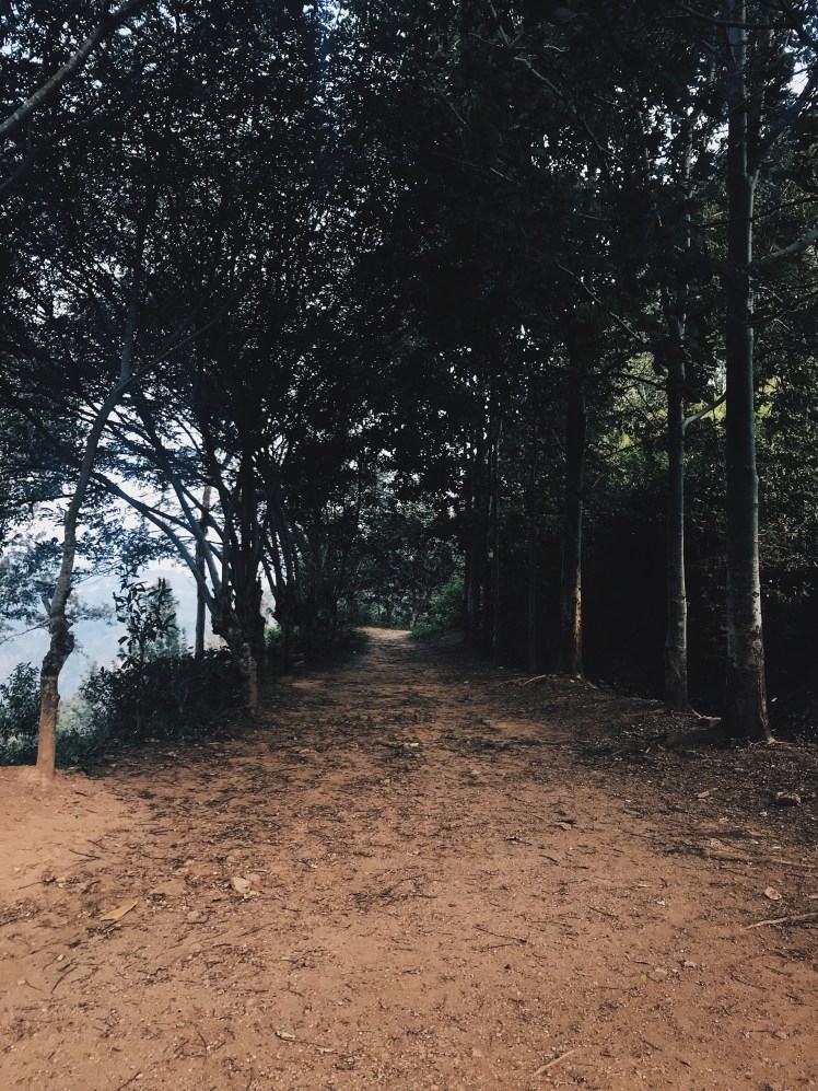 107b5ded-31fa-4b01-8b6c-1e2faca78989-1