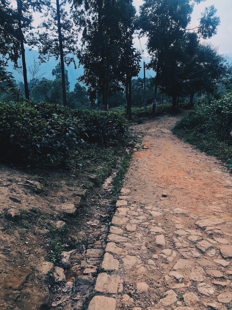 146bc329-6025-4dc8-906e-66c3b744b43b-1