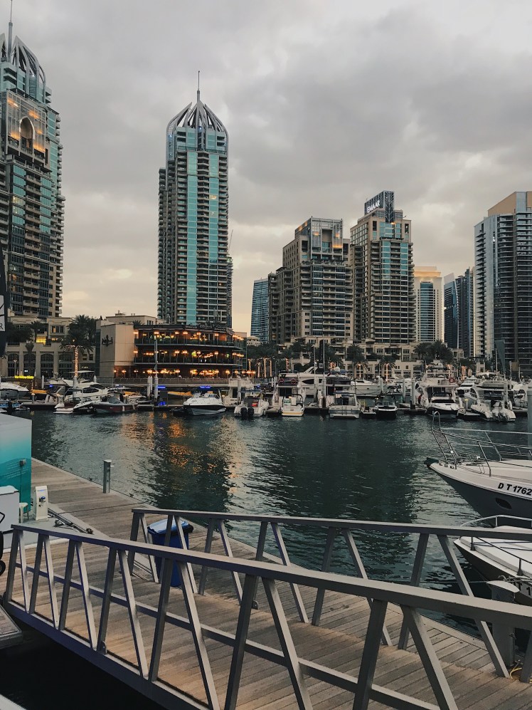 15a8773c-c7b4-4a21-9688-d0e6d53574e4-2