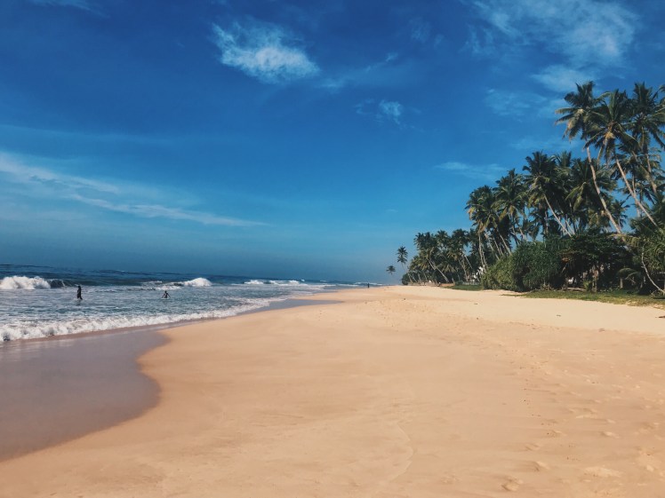 549c8be3-c919-4f74-807f-bcf306f42c2e