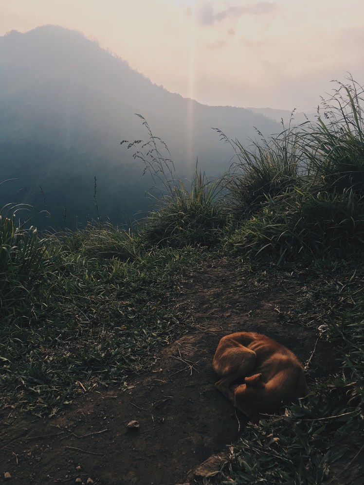 6f05b2b0-12fe-4531-94c3-d88fe5405c36-1