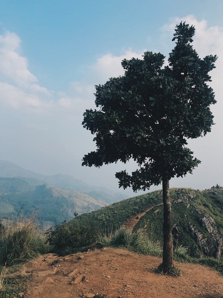 88f344d3-feb7-4f33-8f03-cd888fa396c4-2