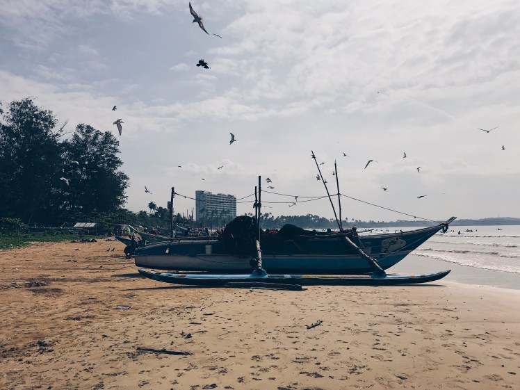 8c789c3d-e6f6-4f9f-9418-5d87304debf0