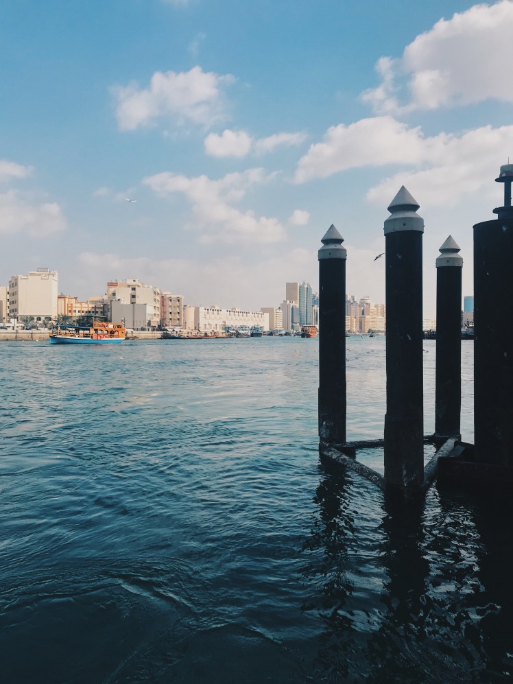 c973925e-11bb-431f-9a84-f57a3fec74ce