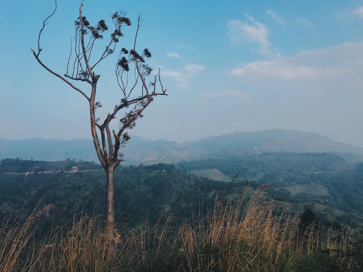 d1646951-3586-48c9-99ea-ad5f360a9aa4-2