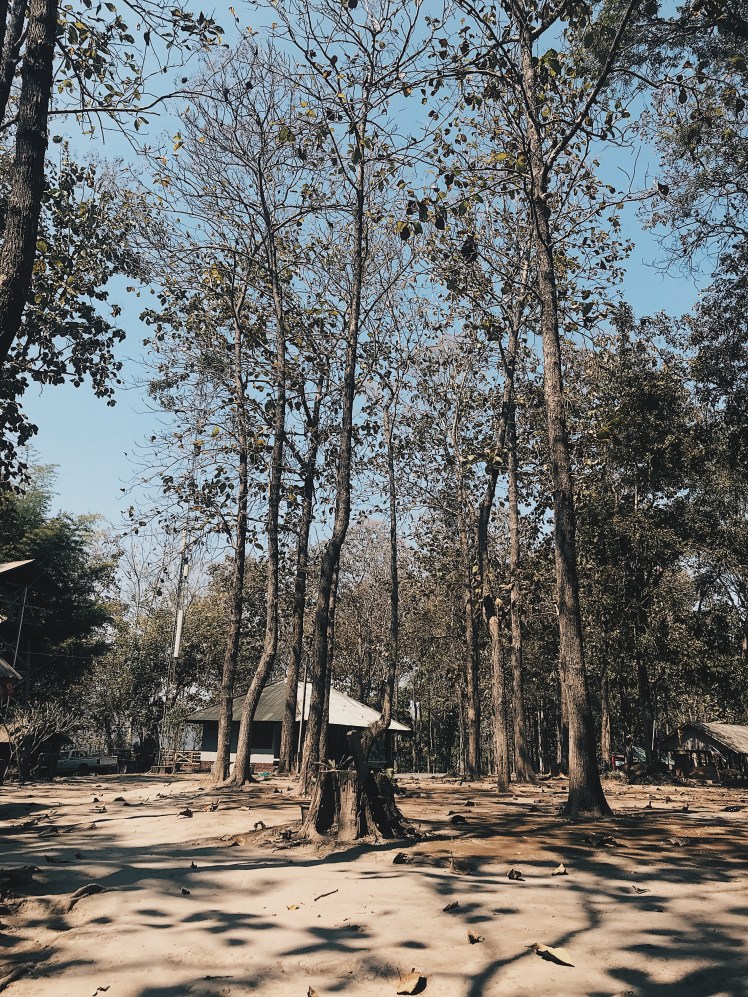 Processed with VSCO with hb2 preset