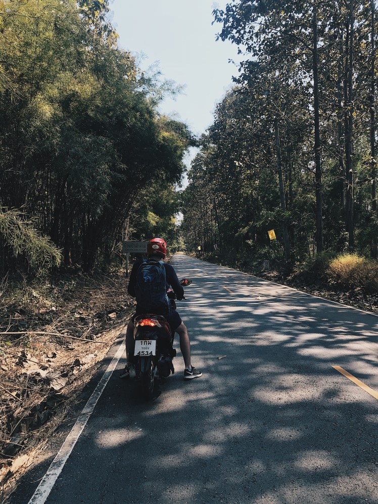 Processed with VSCO with hb2 preset