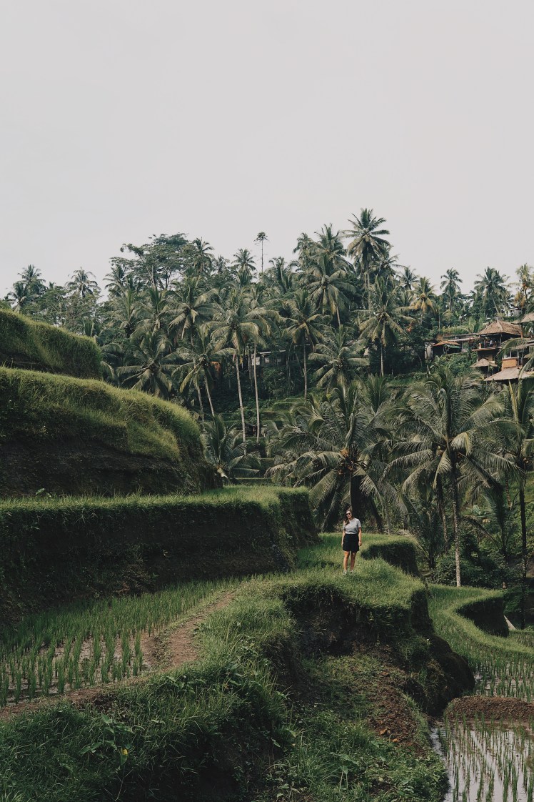 Processed with VSCO with hb2 preset