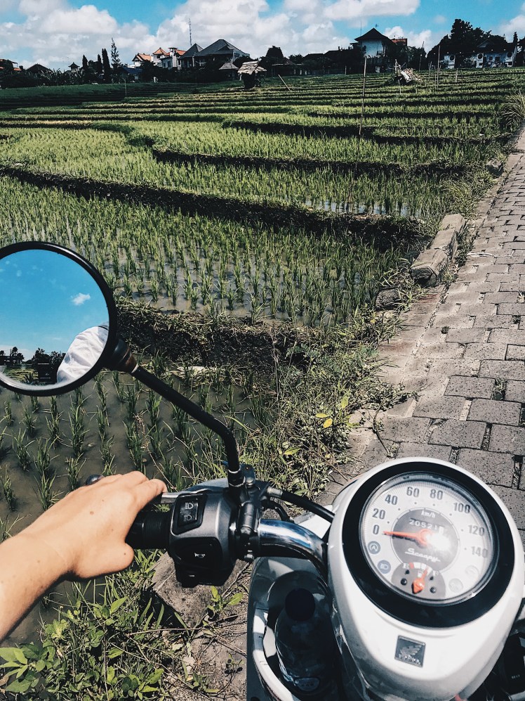 Processed with VSCO with hb2 preset