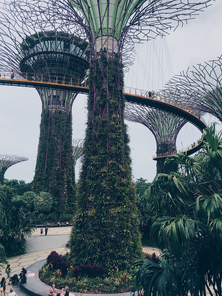 Processed with VSCO with hb1 preset