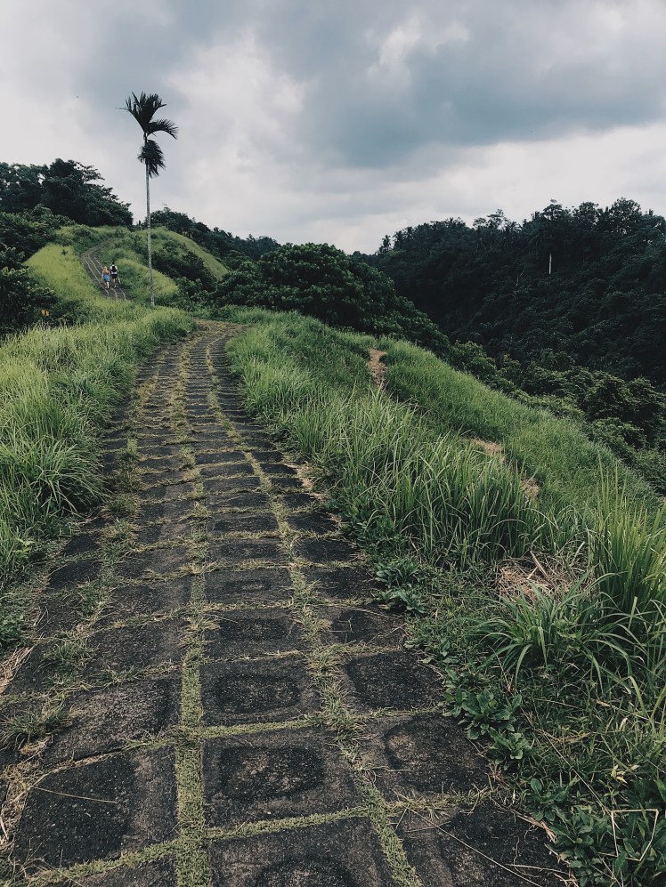 Processed with VSCO with hb2 preset