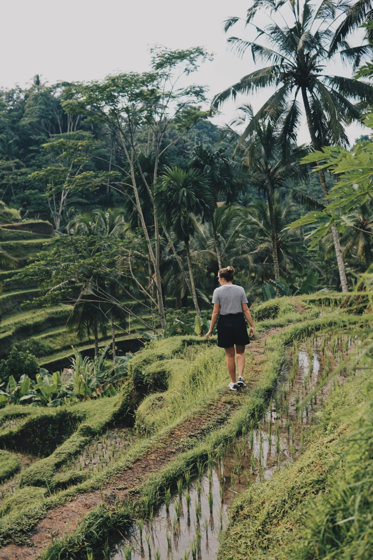 Processed with VSCO with hb2 preset