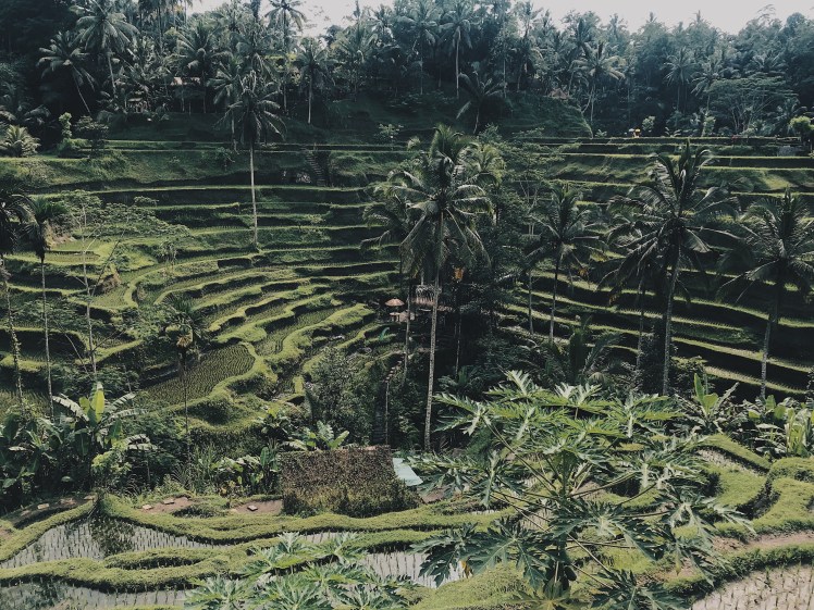 Processed with VSCO with hb2 preset