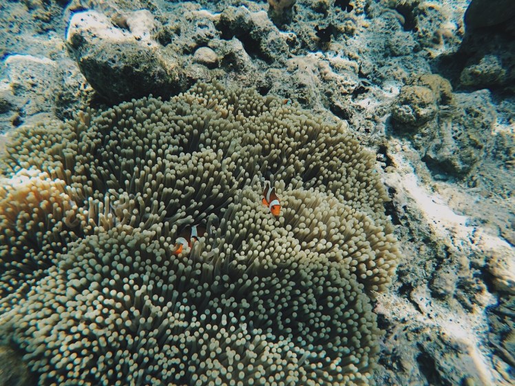 Processed with VSCO with hb2 preset