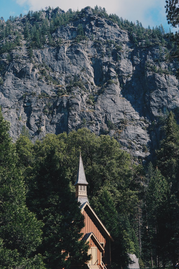 23d1c74d-0d23-4701-8d95-84efa1703569-2