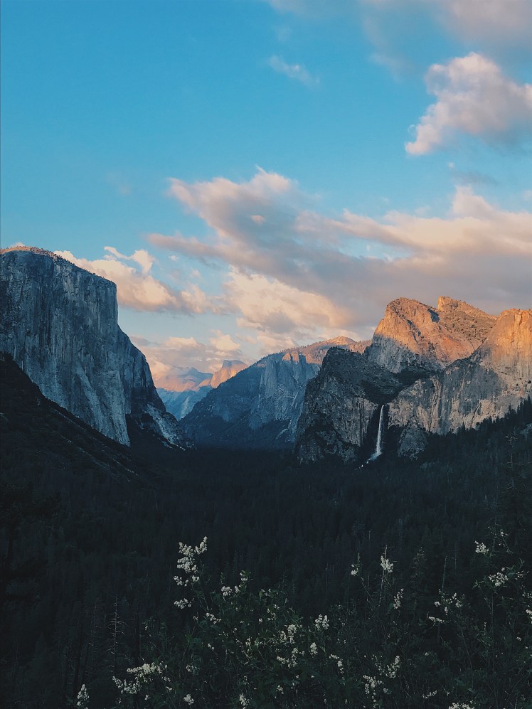 4774f78f-03b4-47f7-812d-7da72ad77028-3