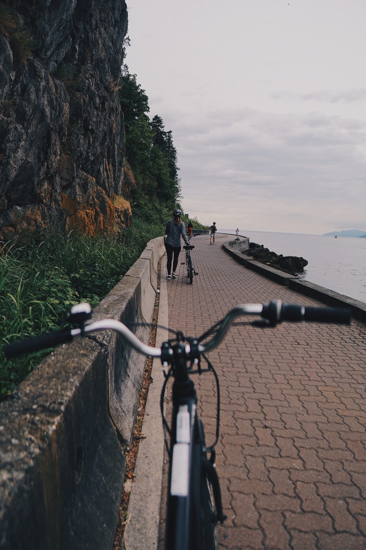 445e2f39-9e5e-411b-bf8c-30bc2eed625e