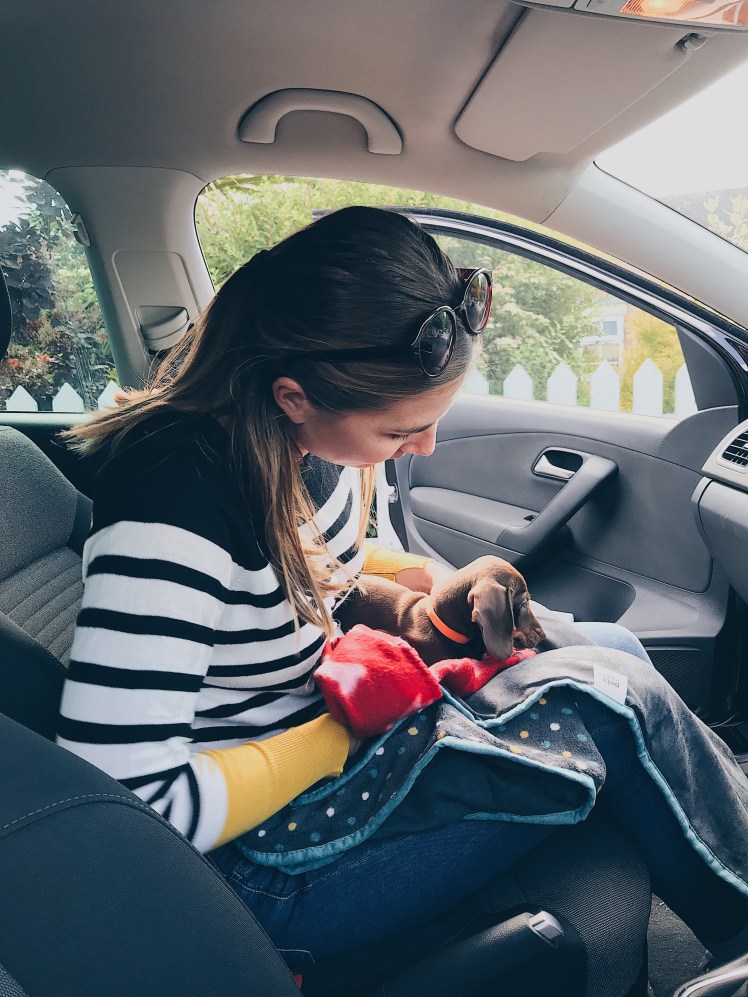 24e70ee7-ac59-4ae3-bc87-cd5cf2bb26c9