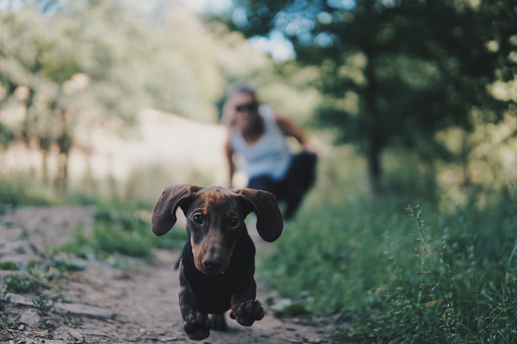 28625d00-9728-46e1-8211-3e4ee8eb313c