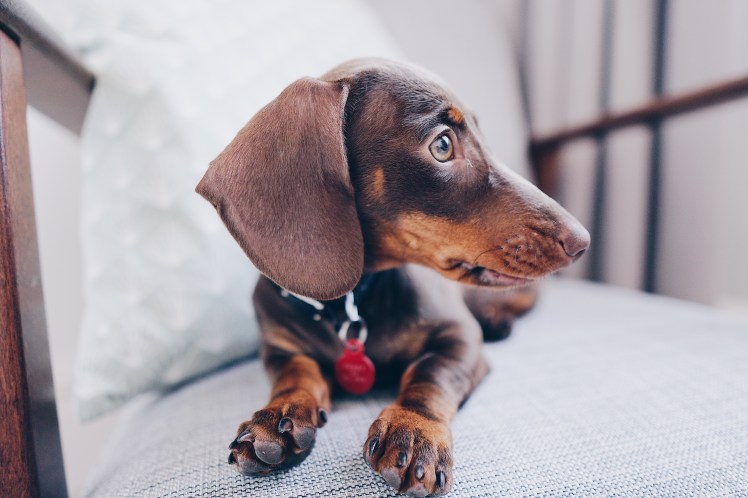 6b58058c-7117-4564-bf86-9fabd78d08b8