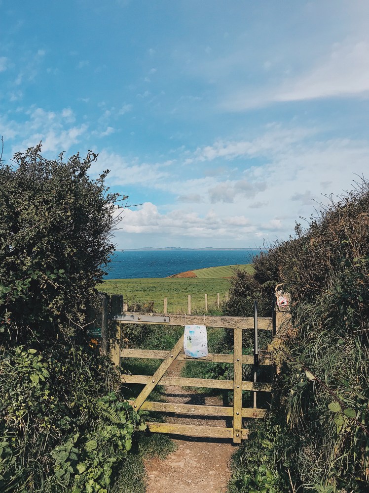 0e6d0cb1-d1ea-442d-93ca-a80530dcc68d