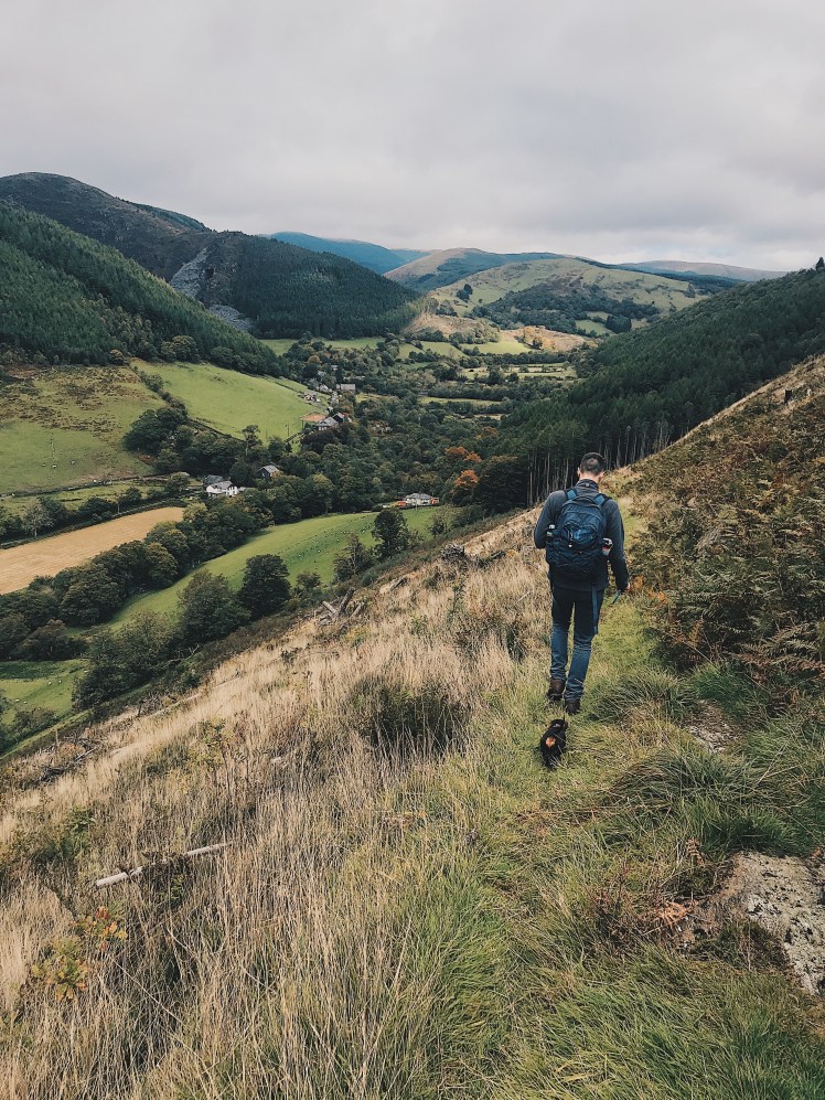 1dbefccc-3e02-4ea2-be9e-ad37c3fccbb7