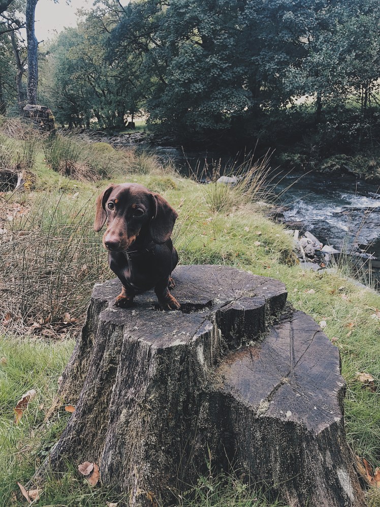 2afe3900-4729-4c92-ba61-002ed1dafb33