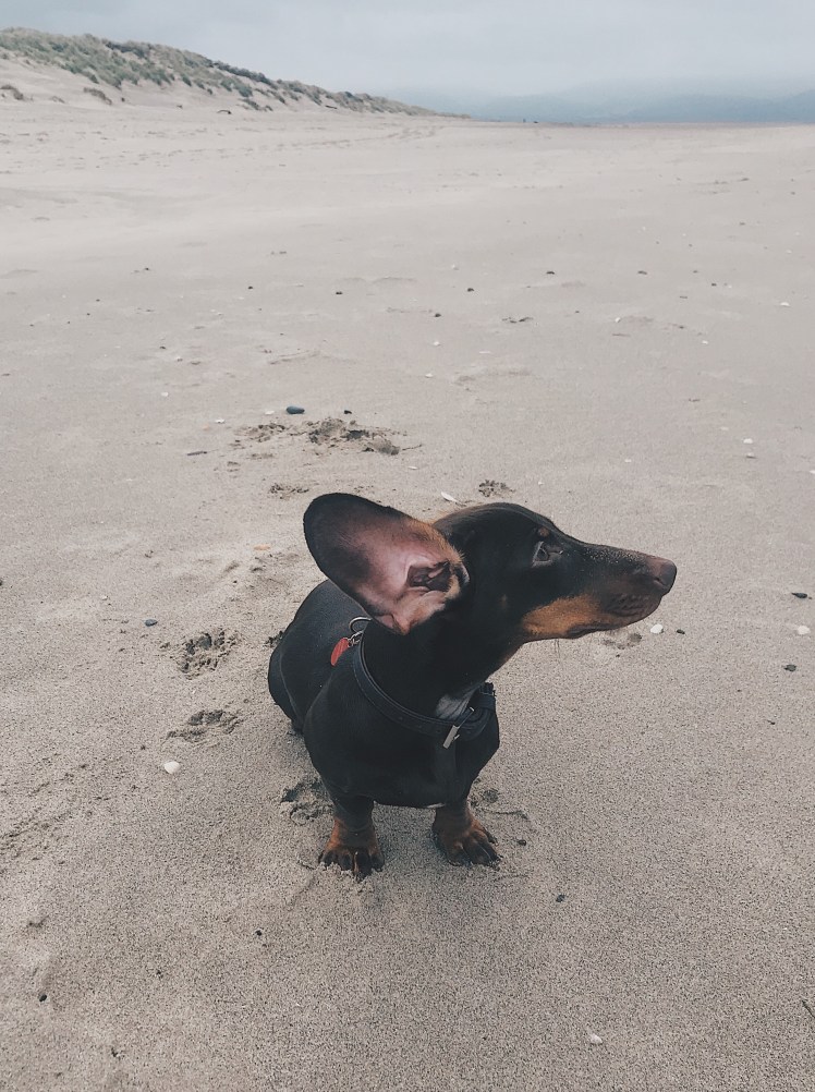 b7deefca-1ccf-4401-b51f-738e9a029ad8