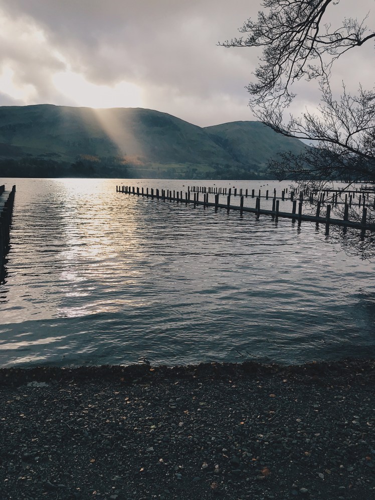 10081ac6-f180-4125-8550-aa757bfa9de5