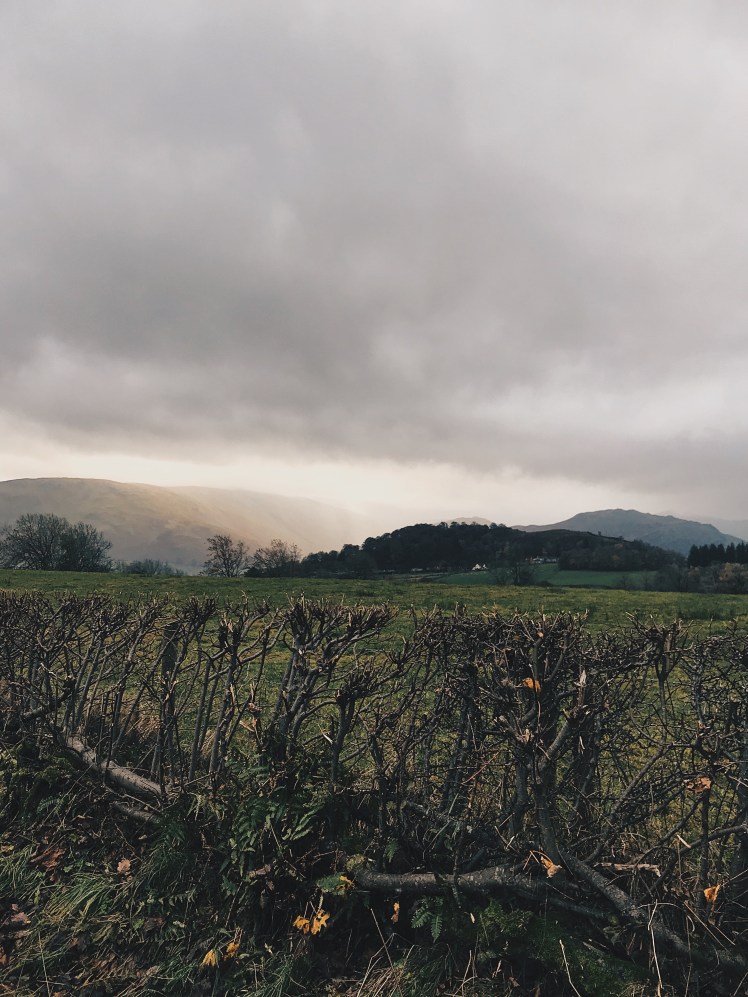 9e6d438a-f7b2-4a82-871f-ec9df7329271